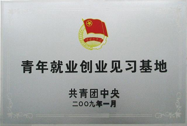 共青團(tuán)中央青年就業(yè)創(chuàng)業(yè)見習(xí)基地